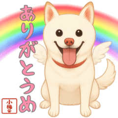 Koume the Shiba Inu Cute Daily Stickers