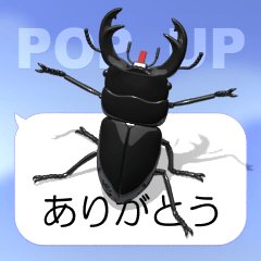 Ookuwagata on the SP 2 (pop-up)