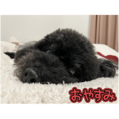 SAYURI_20250810142851