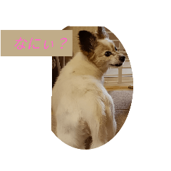 mahiro_20250810142253