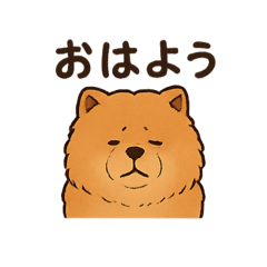 DOG_CHAWCHAW