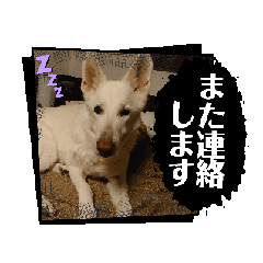 SAOTOME & Co._20250810182228