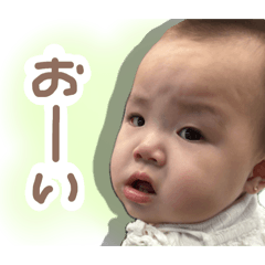 SAKURA_20250811001928