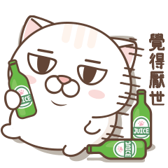 Tsundere Cat "NOSAN" Vol.5