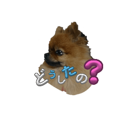 shizuku_20250810214528