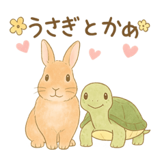 Cute Bunny Maron & Turtle Kamekichi