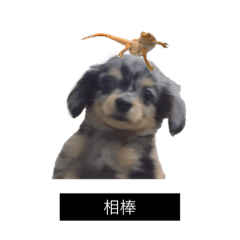 Betty_20250810222429