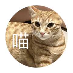 咪so 咪醬 第一版