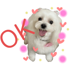 mochi_20250811072243
