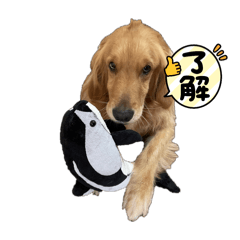 SAKURA_20250811072041