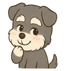 No Text -Fluffy Miniature Schnauzer