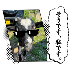 maimai_20250811080929