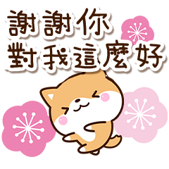 天天有活力☆小柴柴