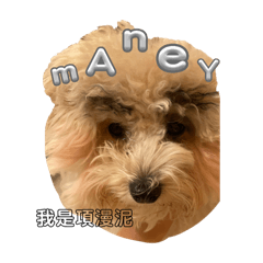 漫泥過來