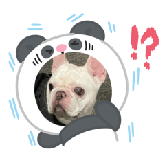 Yi Ting_20250811035857