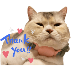 Tofu & Sesame - low budget stickers