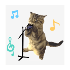 是奶坨不是奶頭喔