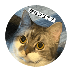 Hayato_20250810155441