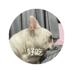 肉肉動態貼圖