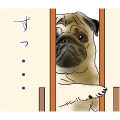 patezou_20250808184758