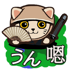 224_Japanese_Taiwanese language_cat