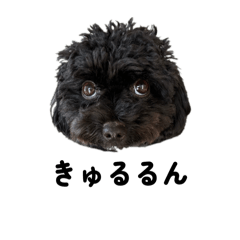 mitsuki_20250810182203