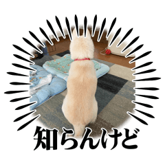 M_20250810184310