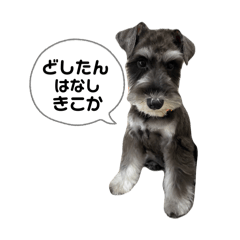 HIYORI_20250810184838