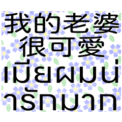 Chinese and Thai couple stickers-03