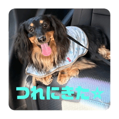 Asahi_20250810195132