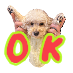 kakun_20250810194355