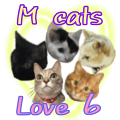 M cats love 6