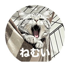 hinata_20250810183502