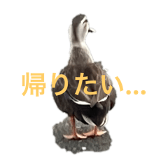 YOU_20250808221026