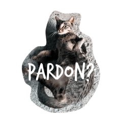 FengTian the Lihua Cat ver.3