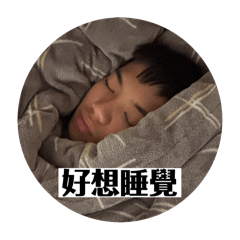 吖楷楷日常