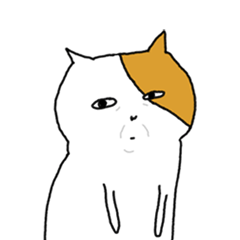 失礼すぎるネコ