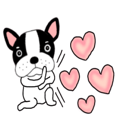 French bulldog buruchan49