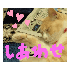 Ayaka_20250810232956