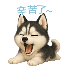 Siberian Husky Stickers [Traditional]