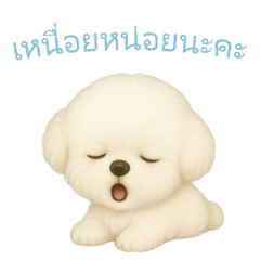Bichon Frise Stickers [Thai Ver.]