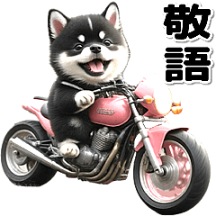 敬語♡バイク好き　黒柴