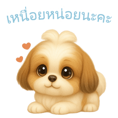 Shih Tzu Stickers [Thai Ver.]