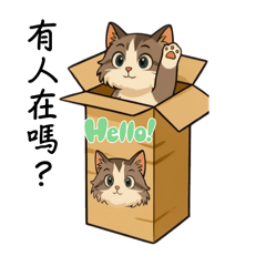 喵ㄦ的日常生活