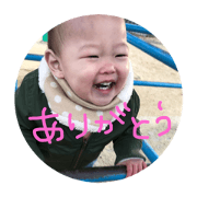 adachimei