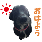 KUMAKICHI'S Sticker