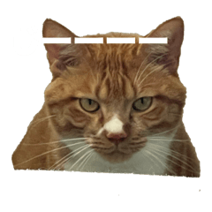 tetsu_20250811182800