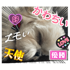SK_20250811182726