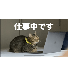 hinata_20250811191959