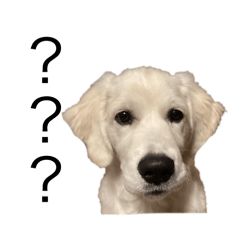 nanana_20250811091930